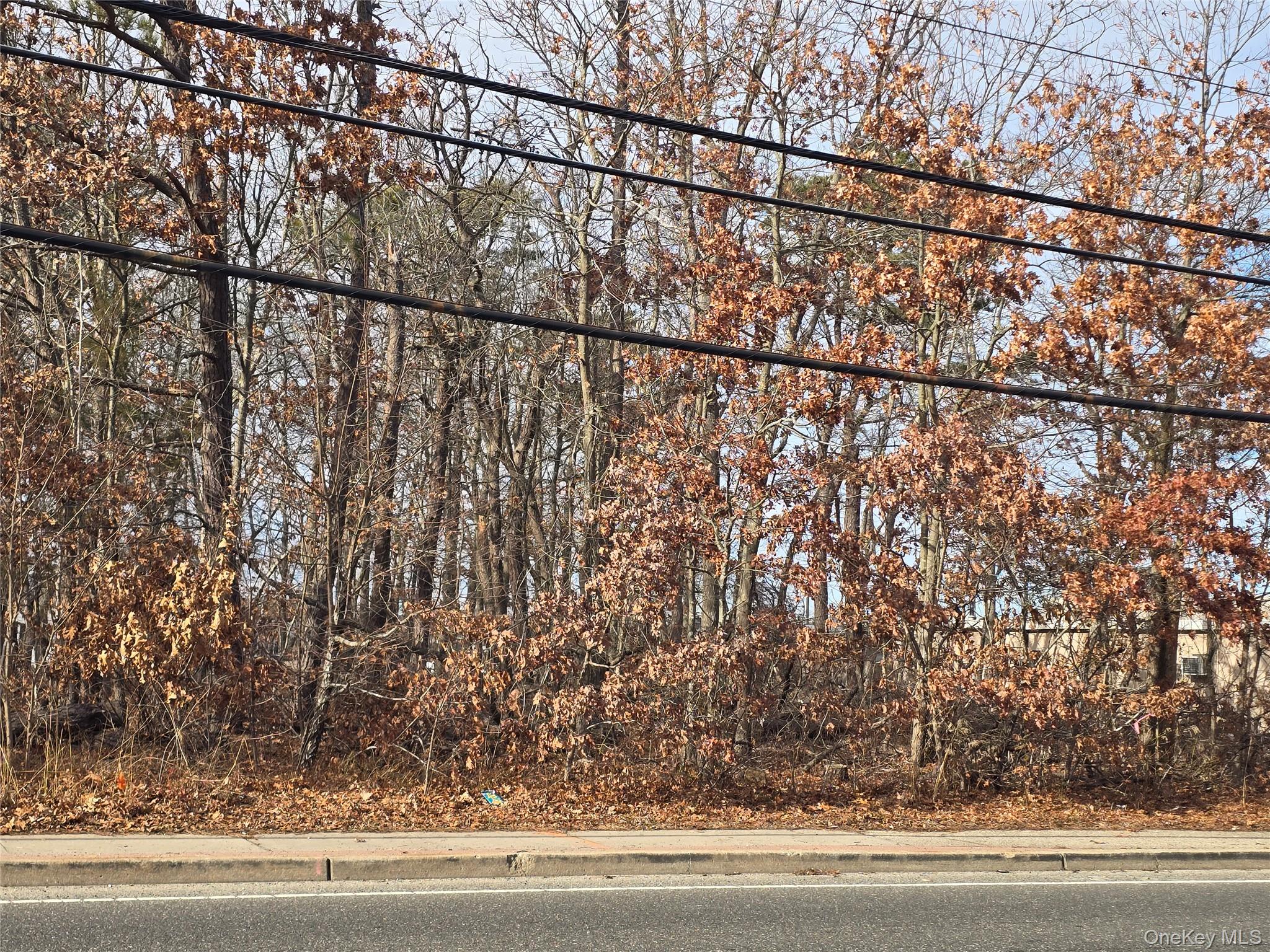 #2 photo, Vacant Land Mastic Road, Shirley , NY 11967