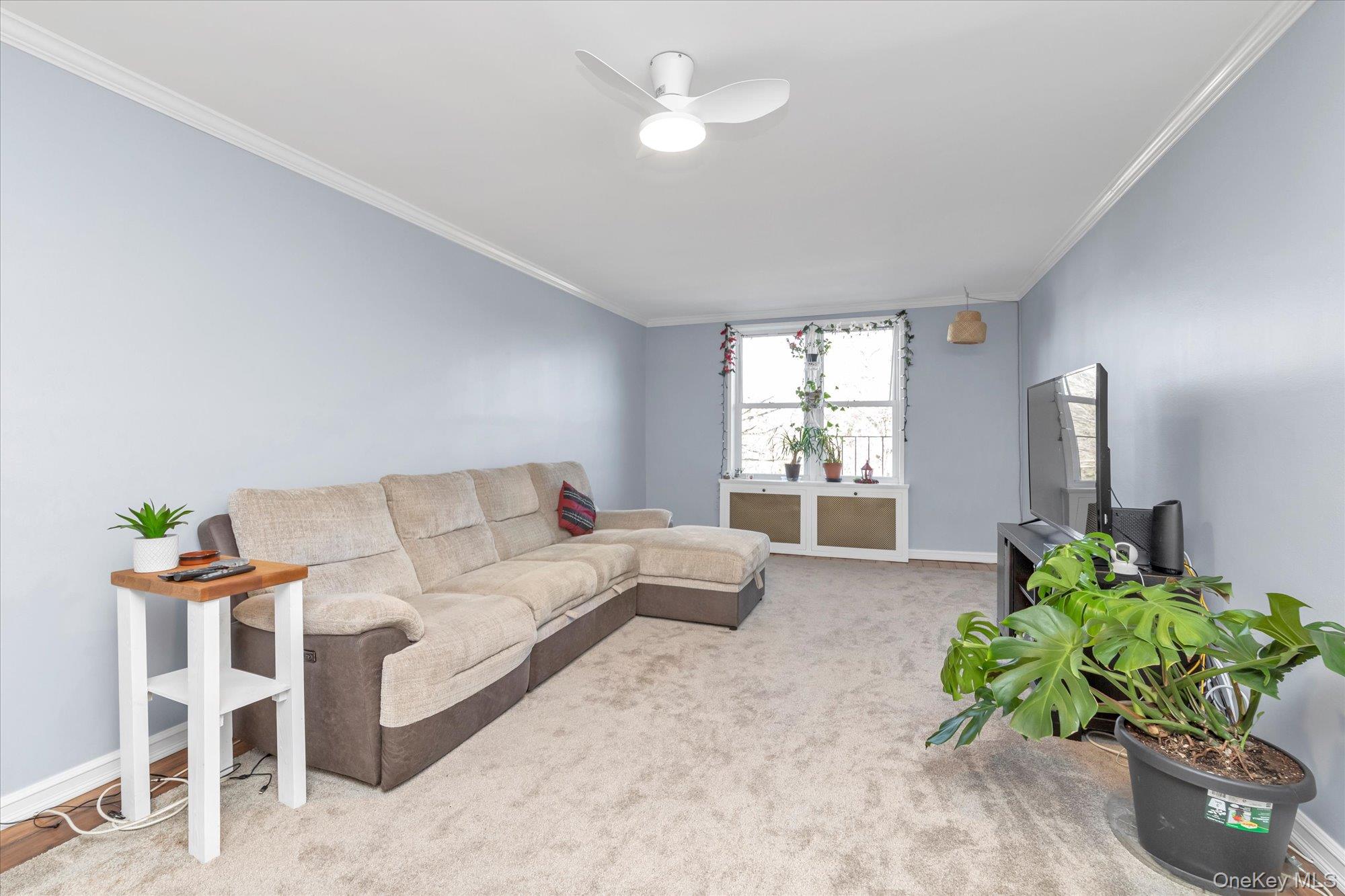 #3 photo, 44-20 Douglaston Parkway, Douglaston , NY 11363