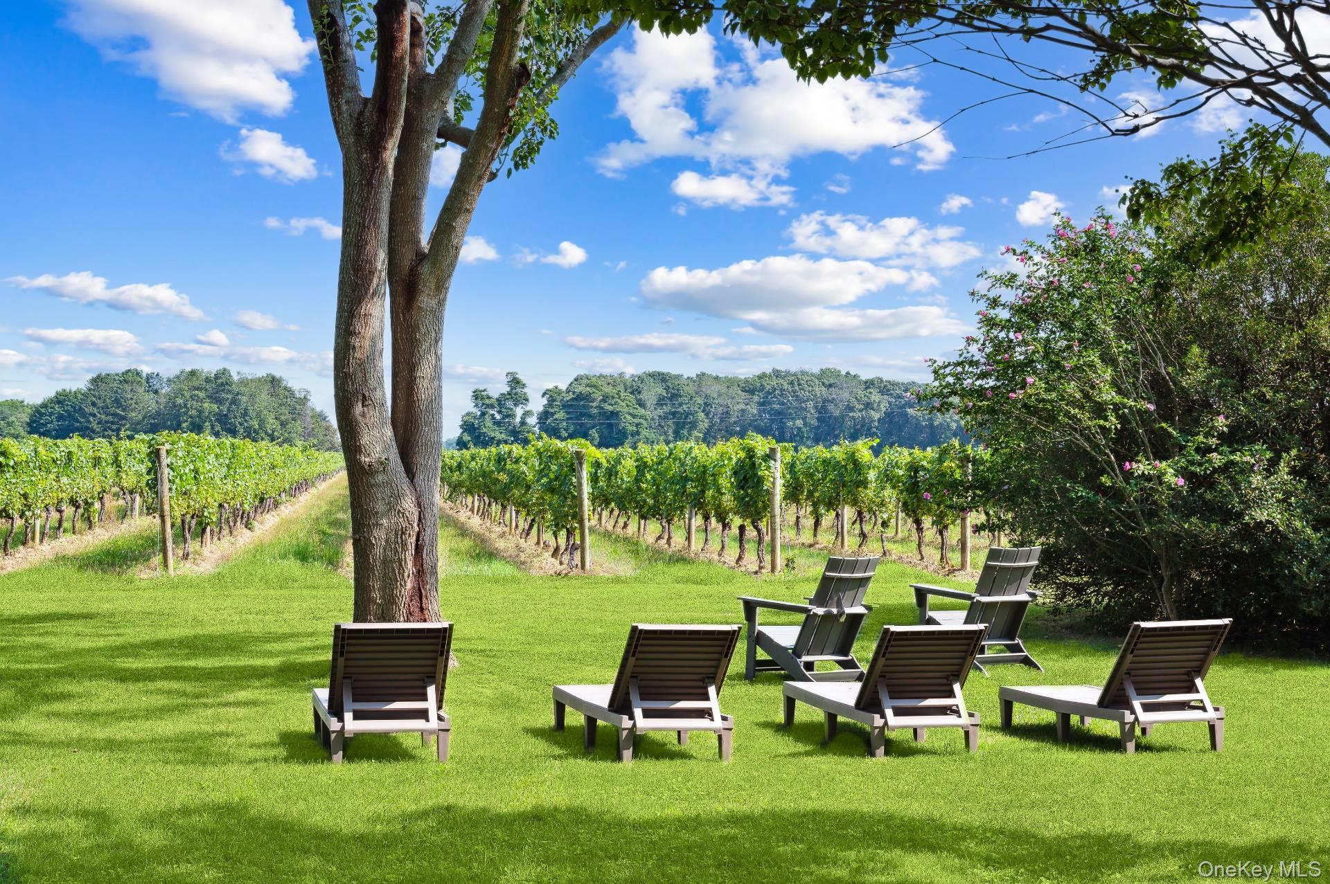 #10 photo, 2600 Oregon Road, Mattituck , NY 11952