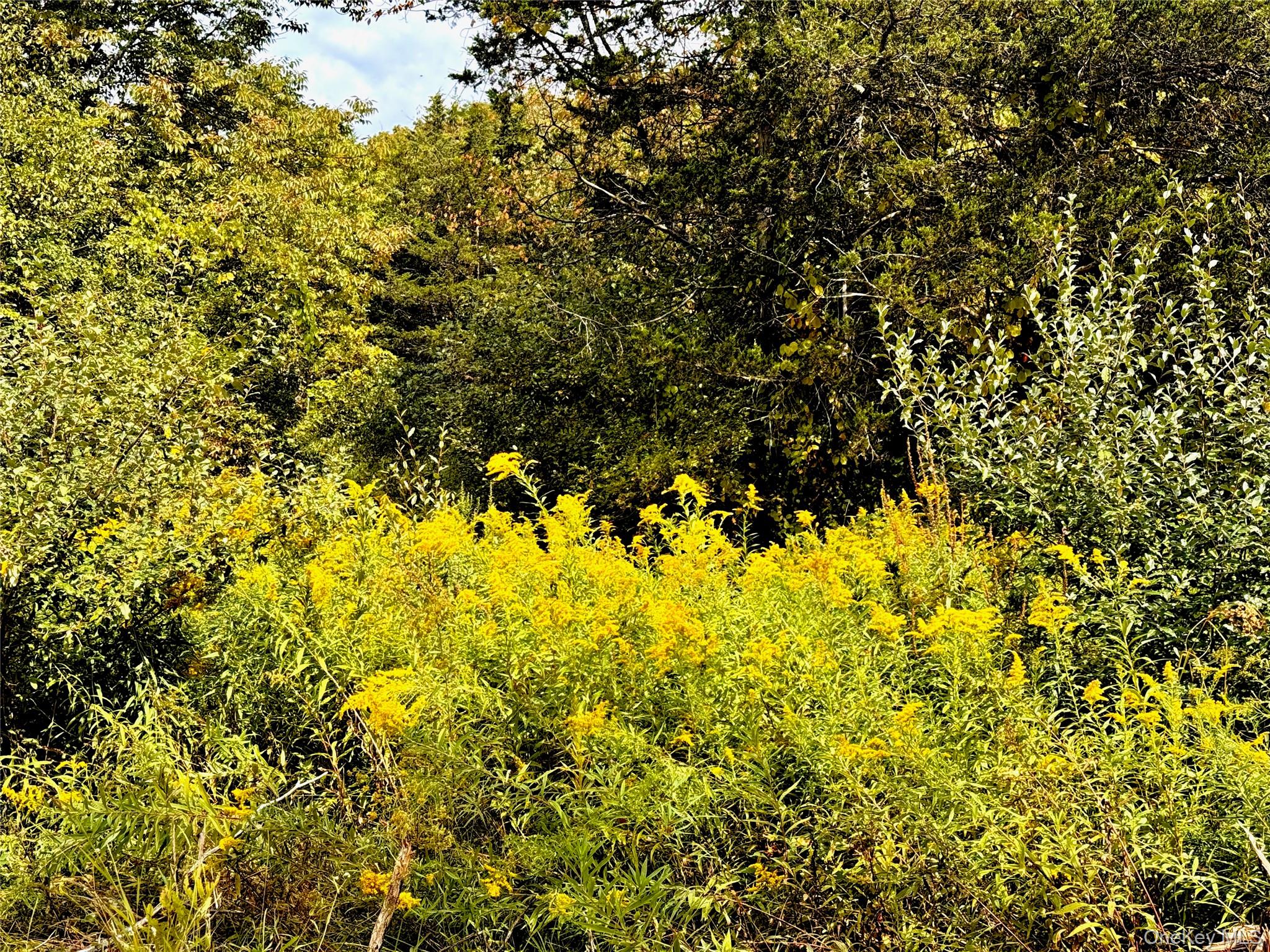 #5 photo, Lot 7 Stickles Road, Hudson , NY 12534