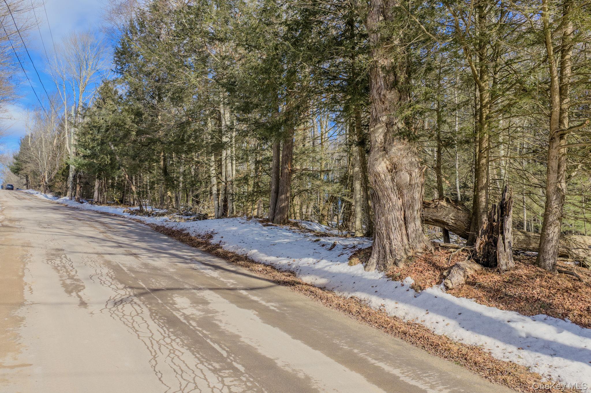 #10 photo, Soule Road, Bethel , NY 12720