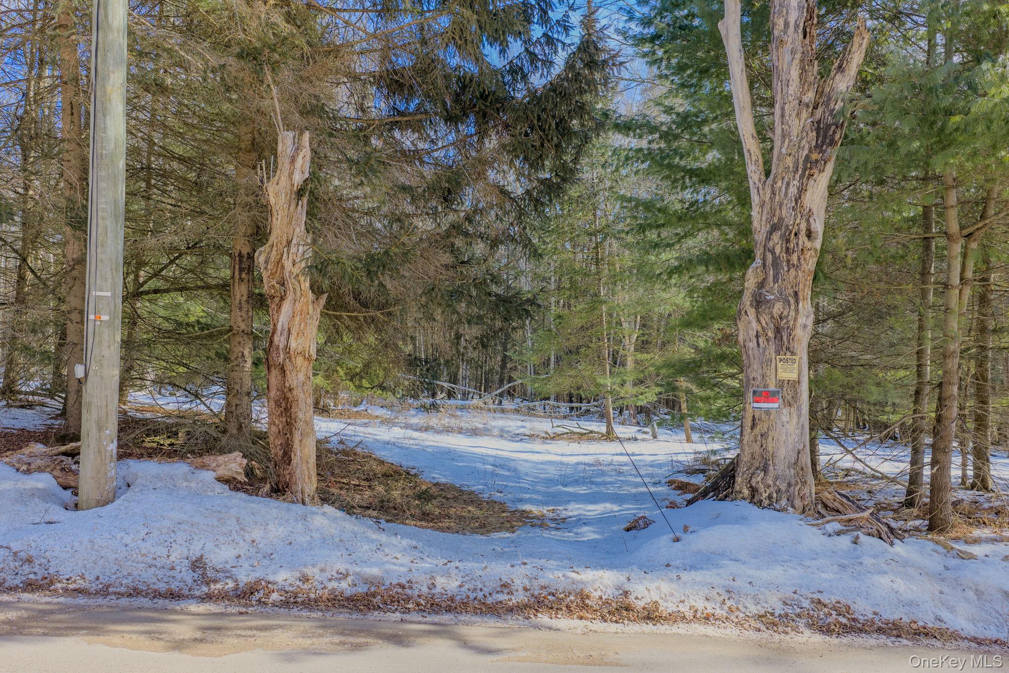 #2 photo, Soule Road, Bethel , NY 12720