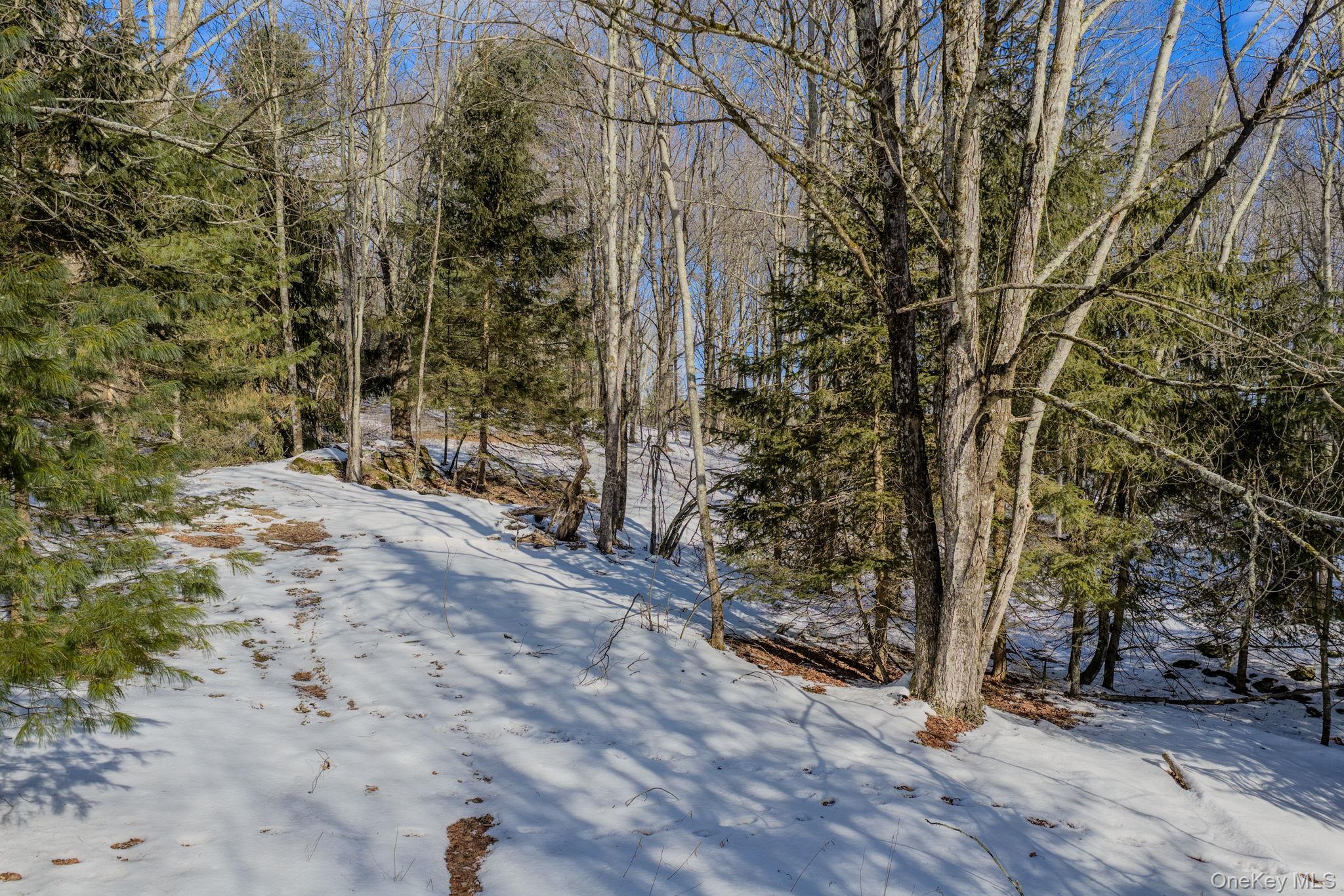 #3 photo, Soule Road, Bethel , NY 12720