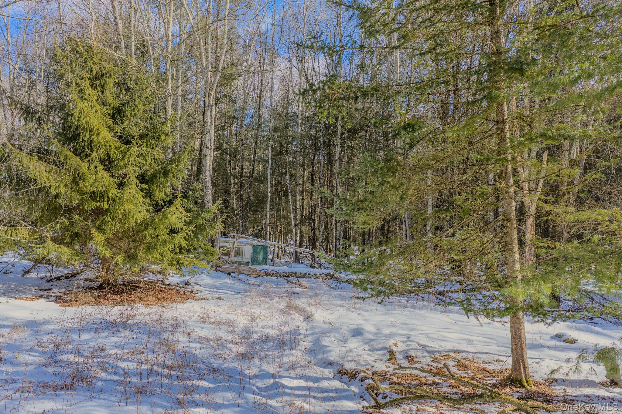 #4 photo, Soule Road, Bethel , NY 12720