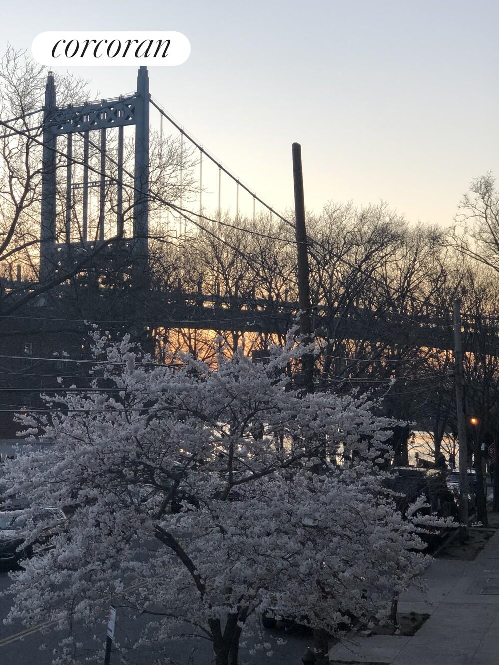 #16 photo, 19-19 24TH Avenue, Ditmars Steinway , NY 11102