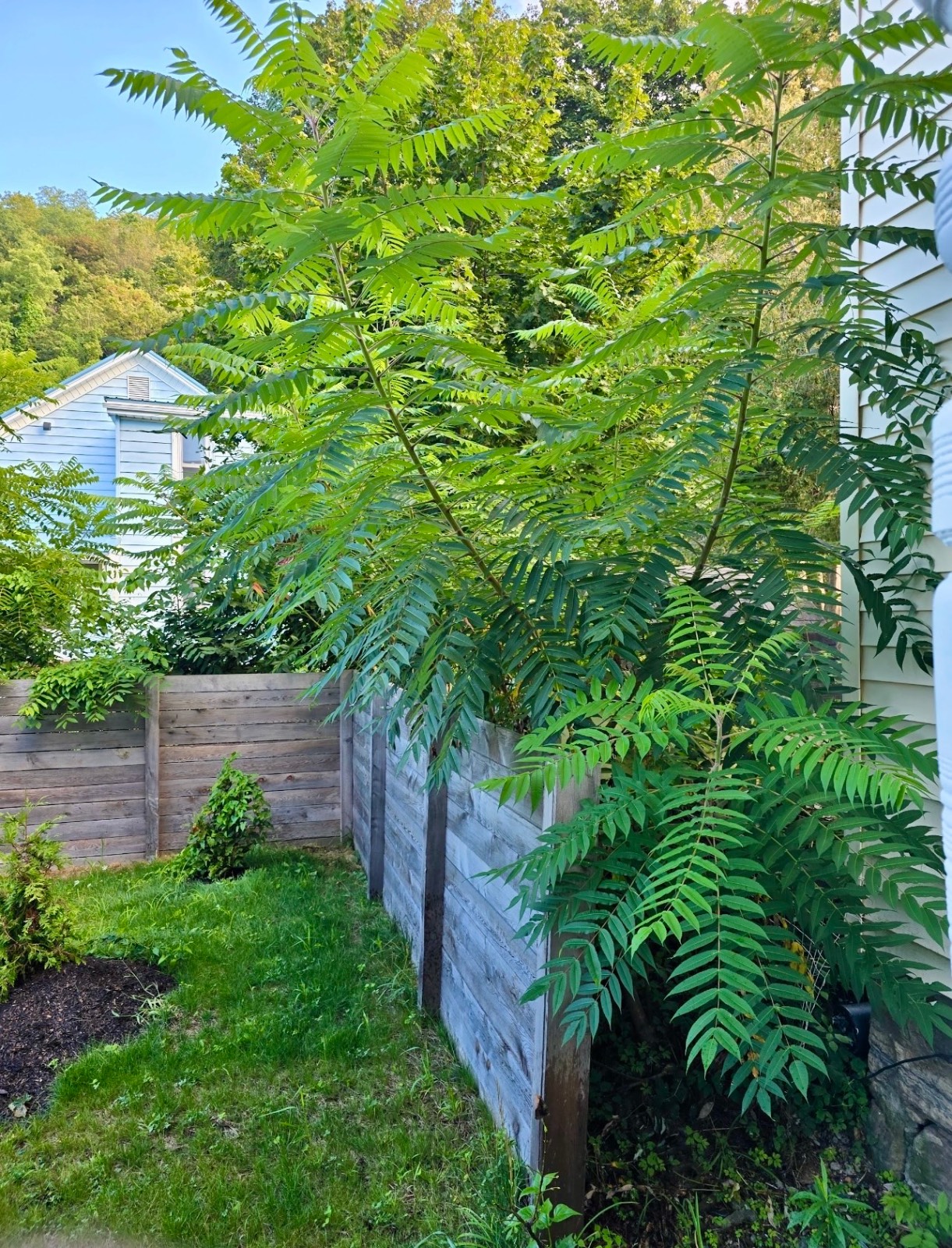 #12 photo, 556 E Monroe St, Little Falls , NY 13365