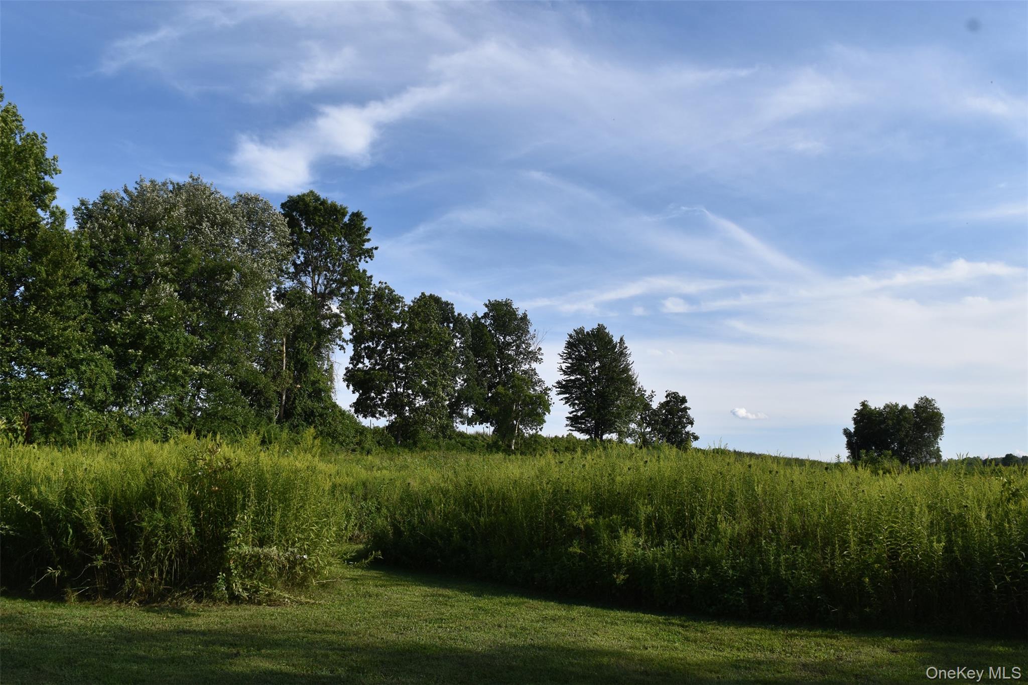 #14 photo, 188 South Road, Tivoli , NY 12583