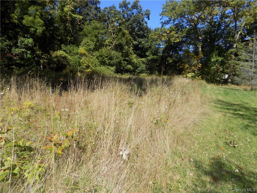 #7 photo, 18 Dorland Avenue, 纽约州 Poughkeepsie , NY 12603