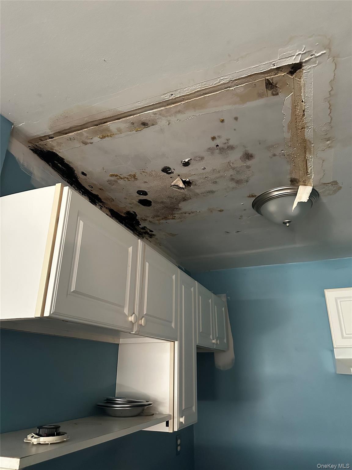 #2 photo, 11 Taurgo Lane, Centereach , NY 11720