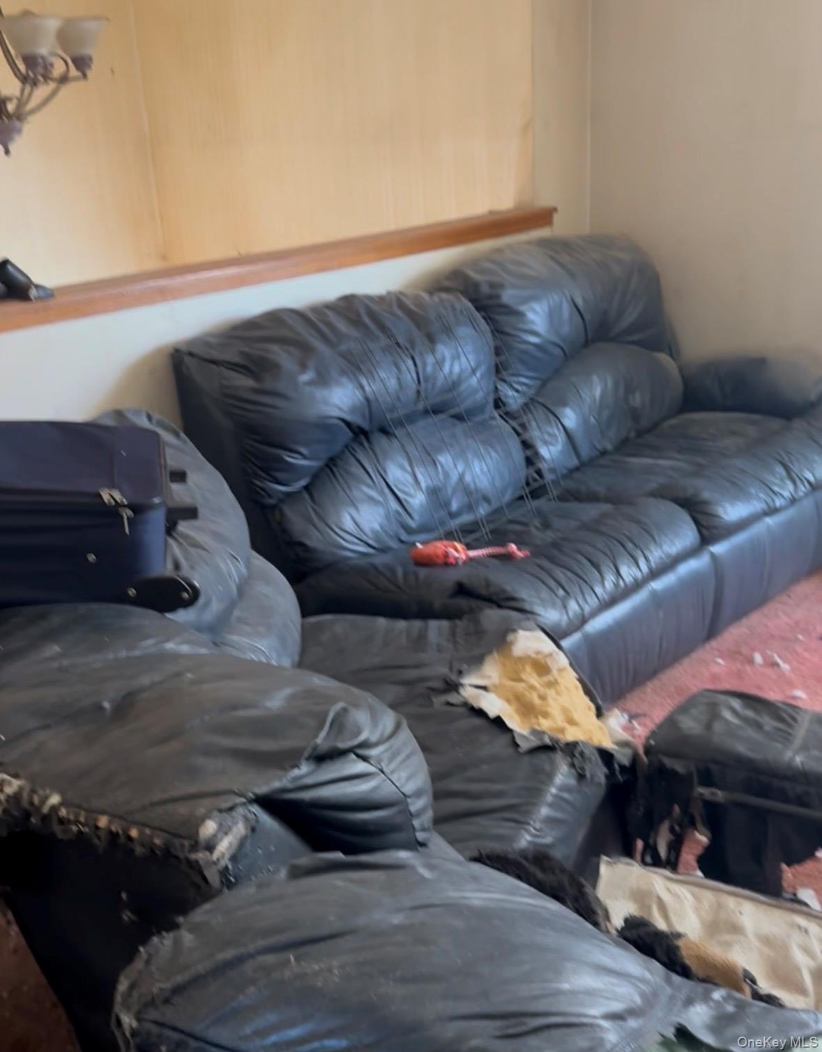 #5 photo, 11 Taurgo Lane, Centereach , NY 11720