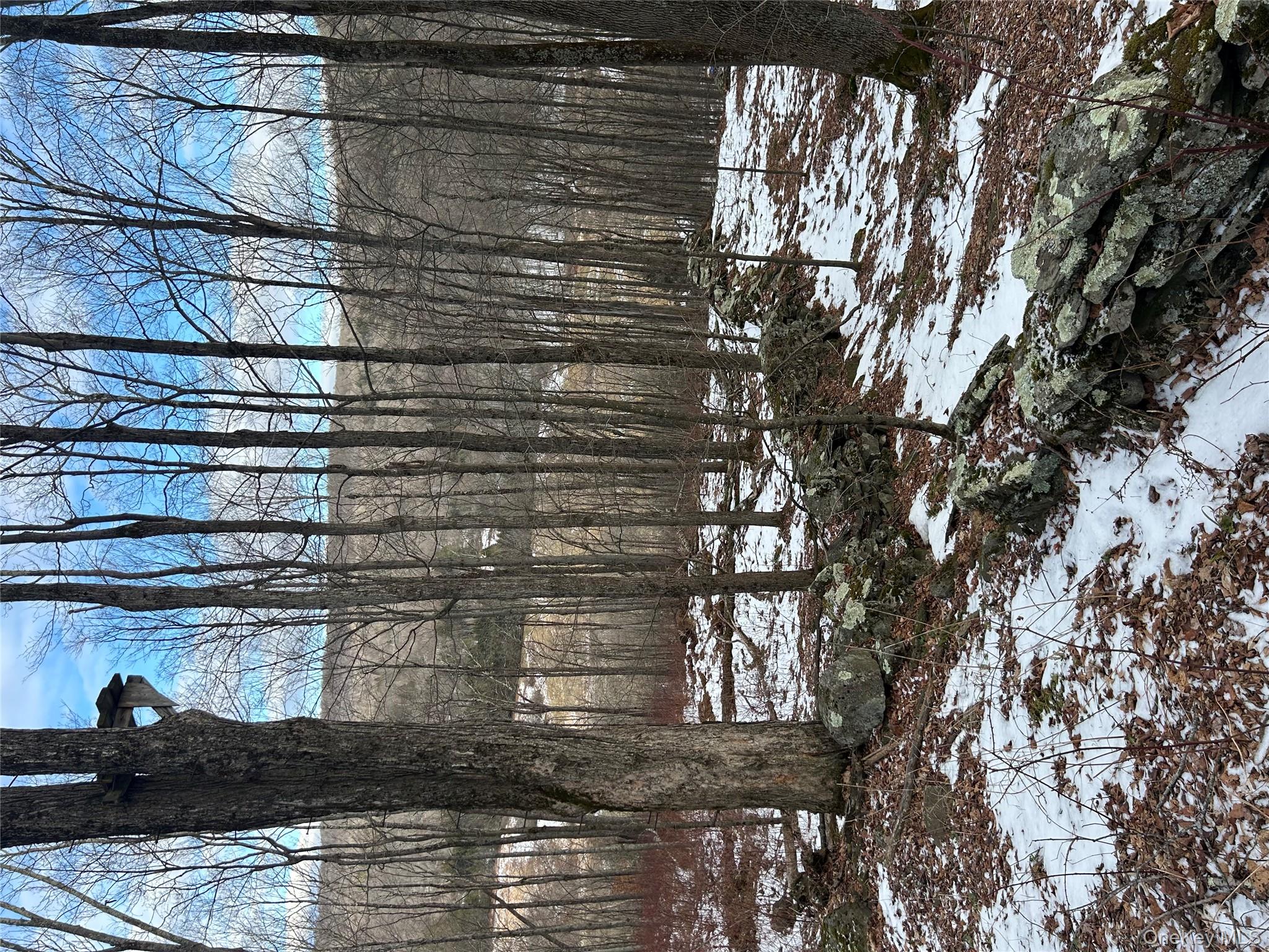 #1 photo, 58 County Hwy 36 Kelly Corners-Denver-Vega Road, Margaretville , NY 12445