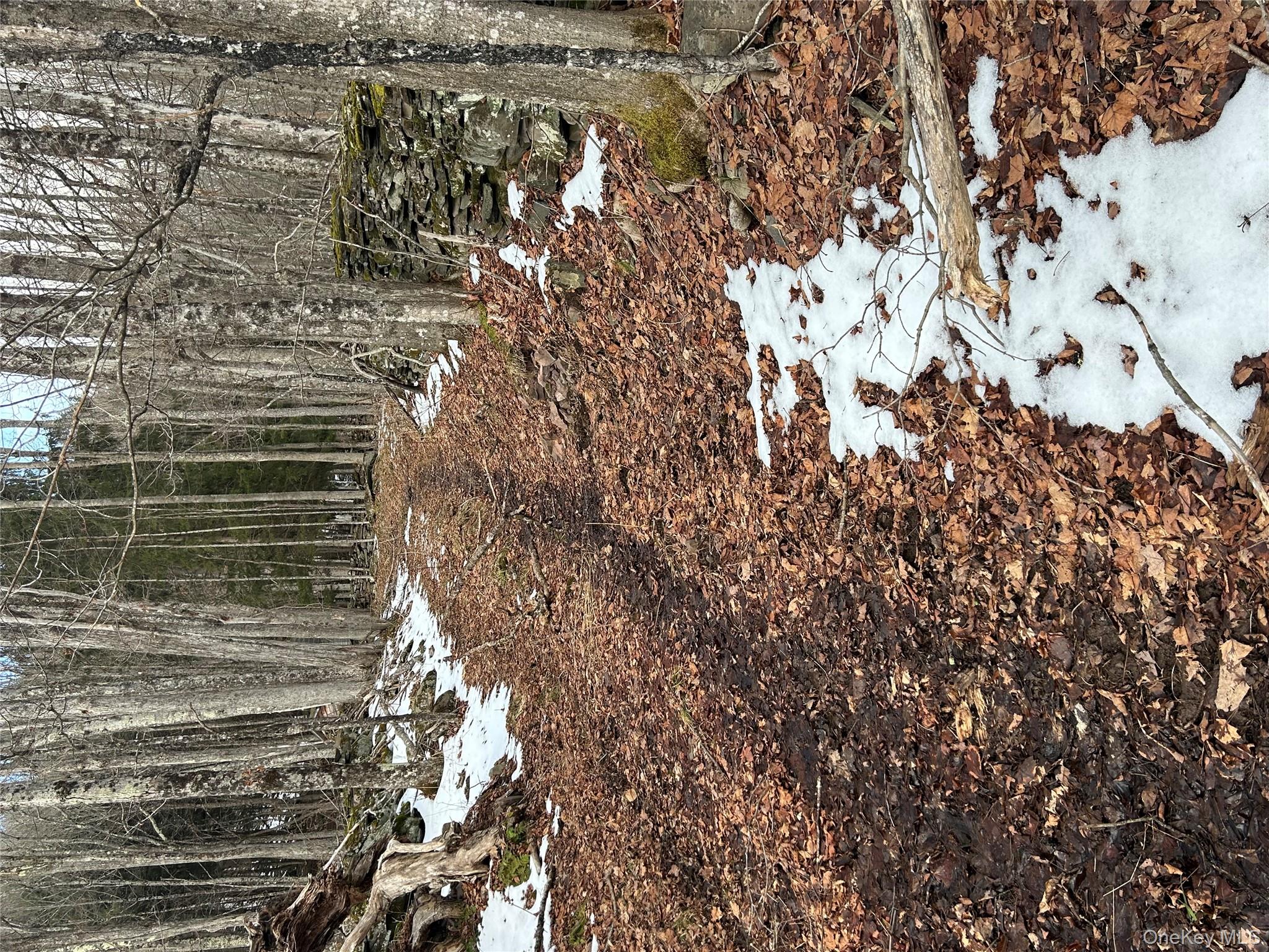 #10 photo, 58 County Hwy 36 Kelly Corners-Denver-Vega Road, Margaretville , NY 12445