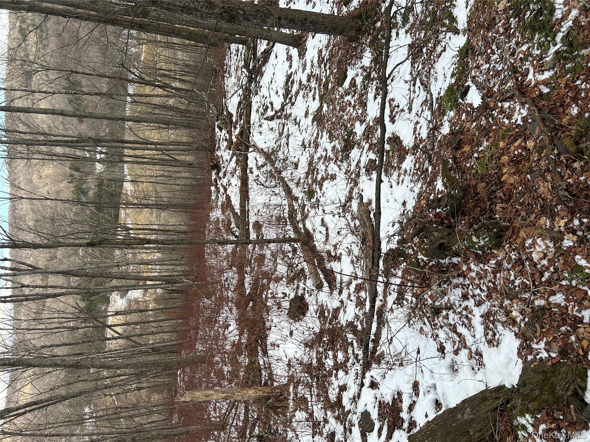 #2 photo, 58 County Hwy 36 Kelly Corners-Denver-Vega Road, Margaretville , NY 12445