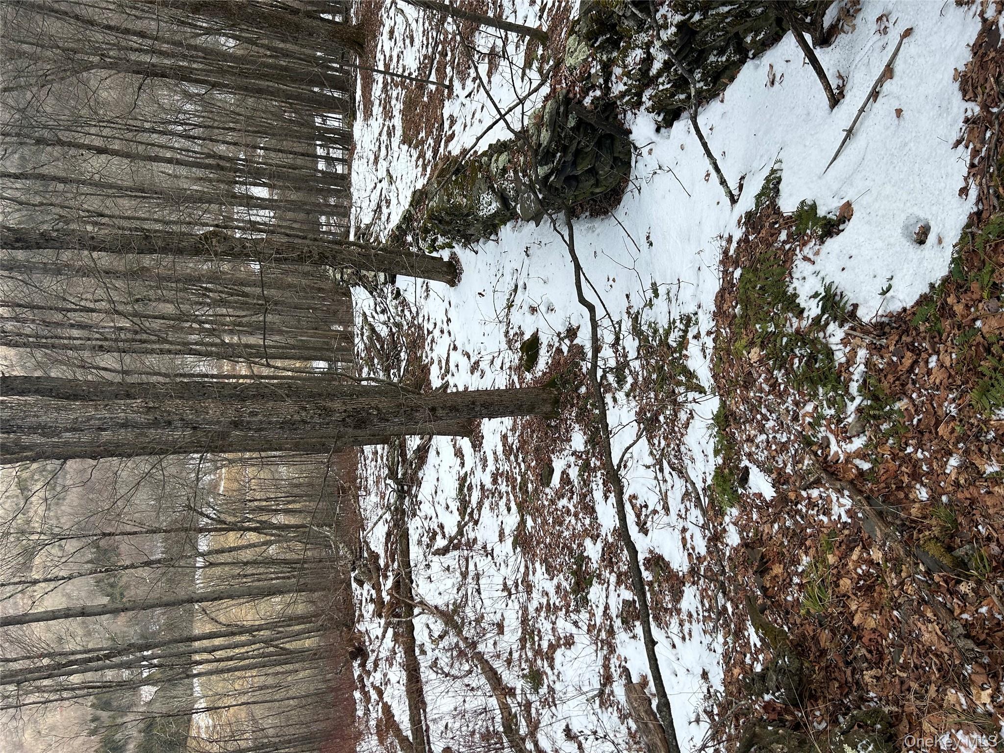 #4 photo, 58 County Hwy 36 Kelly Corners-Denver-Vega Road, Margaretville , NY 12445