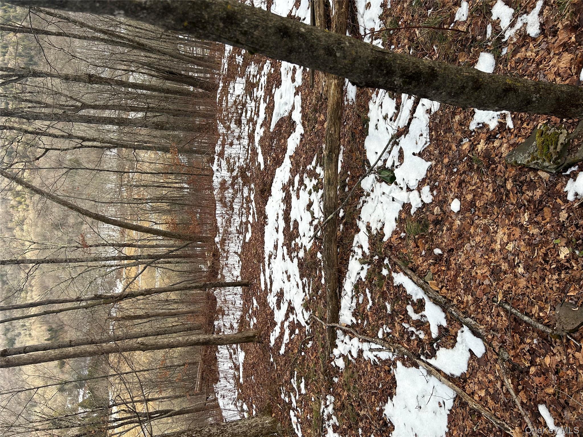 #5 photo, 58 County Hwy 36 Kelly Corners-Denver-Vega Road, Margaretville , NY 12445