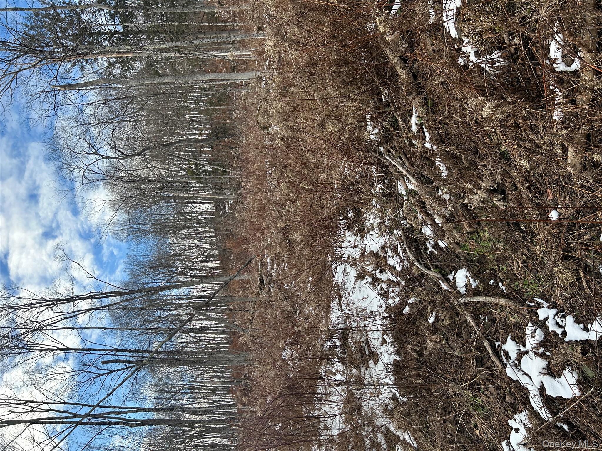 #6 photo, 58 County Hwy 36 Kelly Corners-Denver-Vega Road, Margaretville , NY 12445