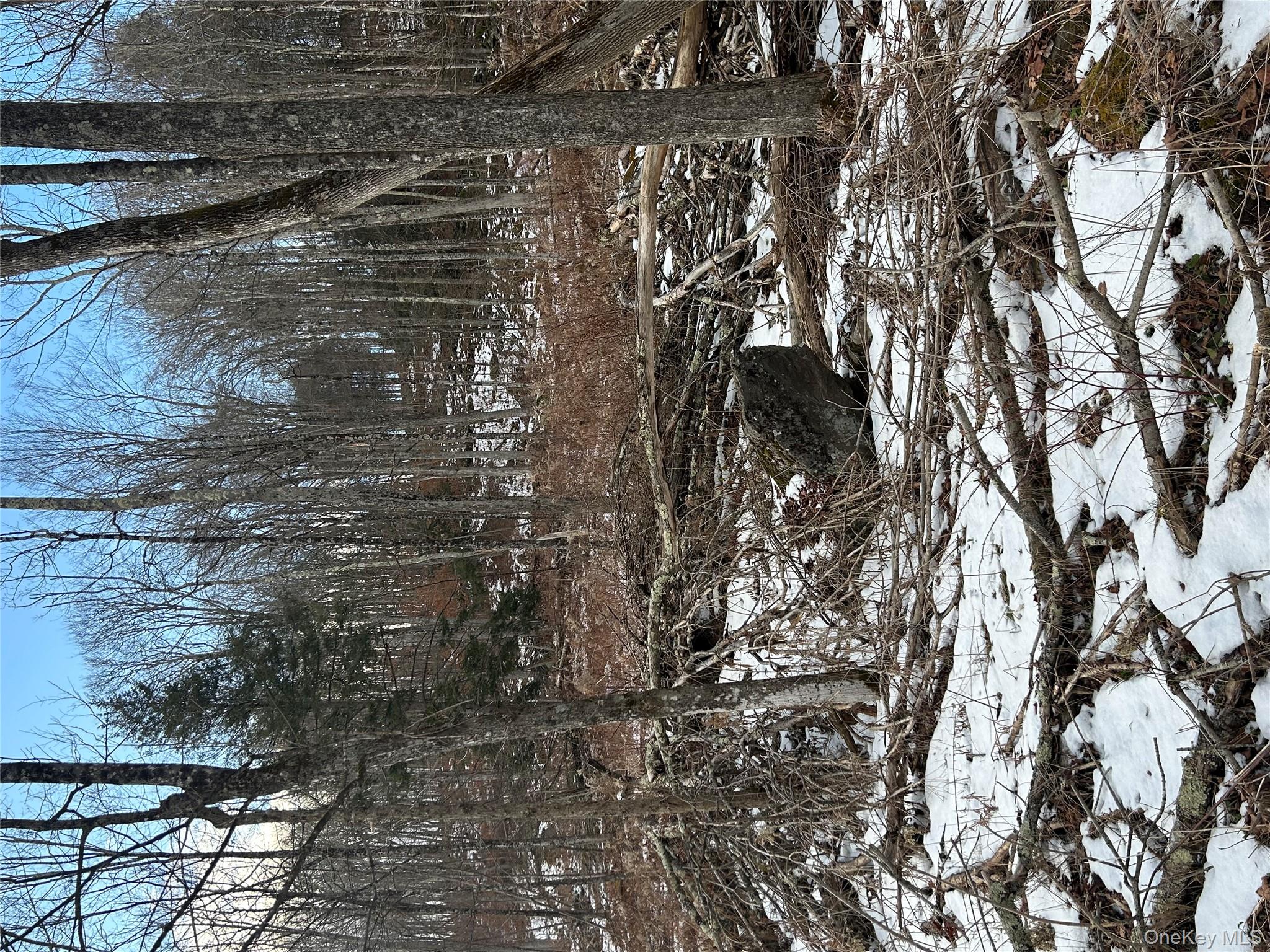 #8 photo, 58 County Hwy 36 Kelly Corners-Denver-Vega Road, Margaretville , NY 12445