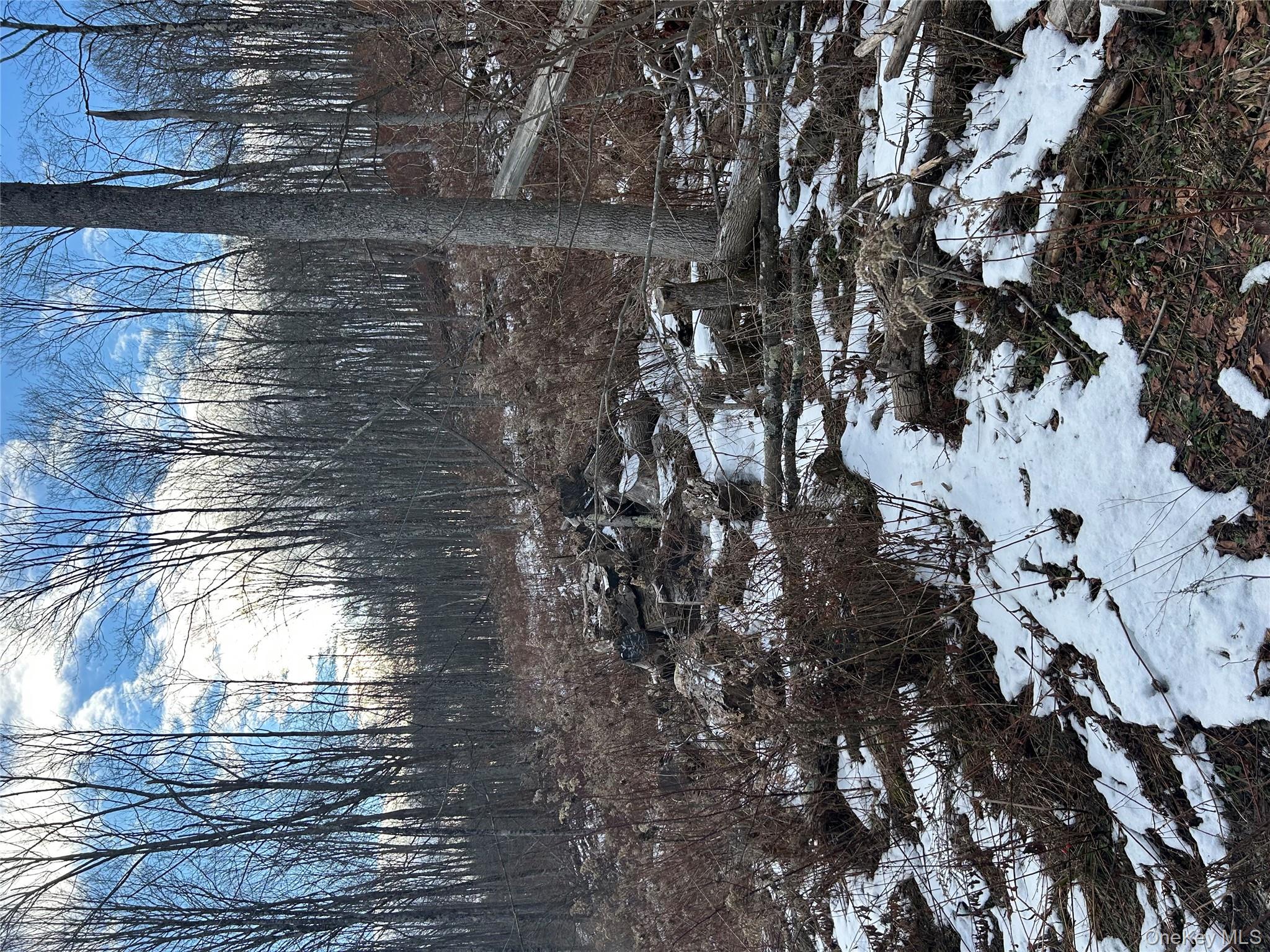 #9 photo, 58 County Hwy 36 Kelly Corners-Denver-Vega Road, Margaretville , NY 12445