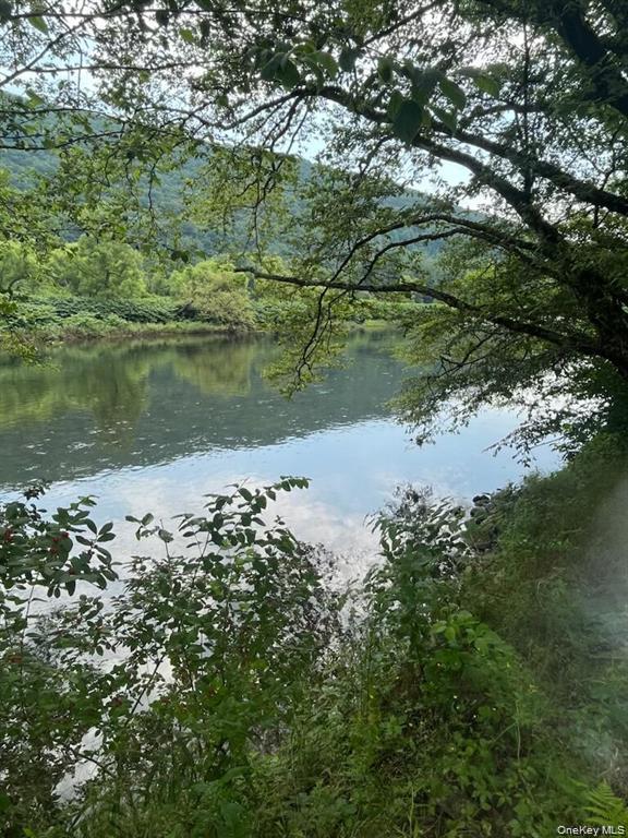 #9 photo, 310 River, Deposit , NY 13754