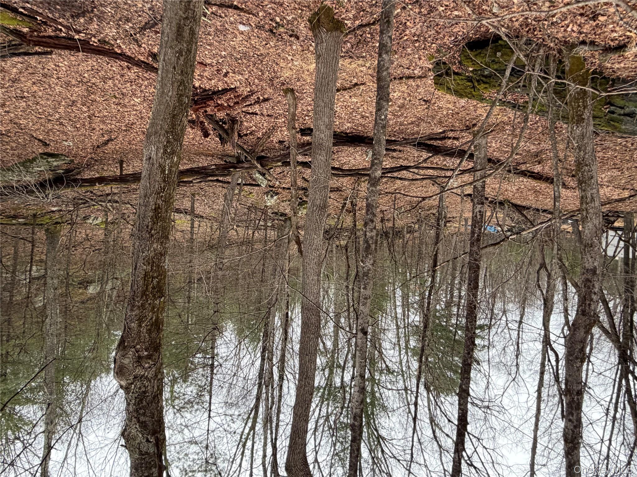 #10 photo, Allen Road, 紐約州 Wurtsboro , NY 12790