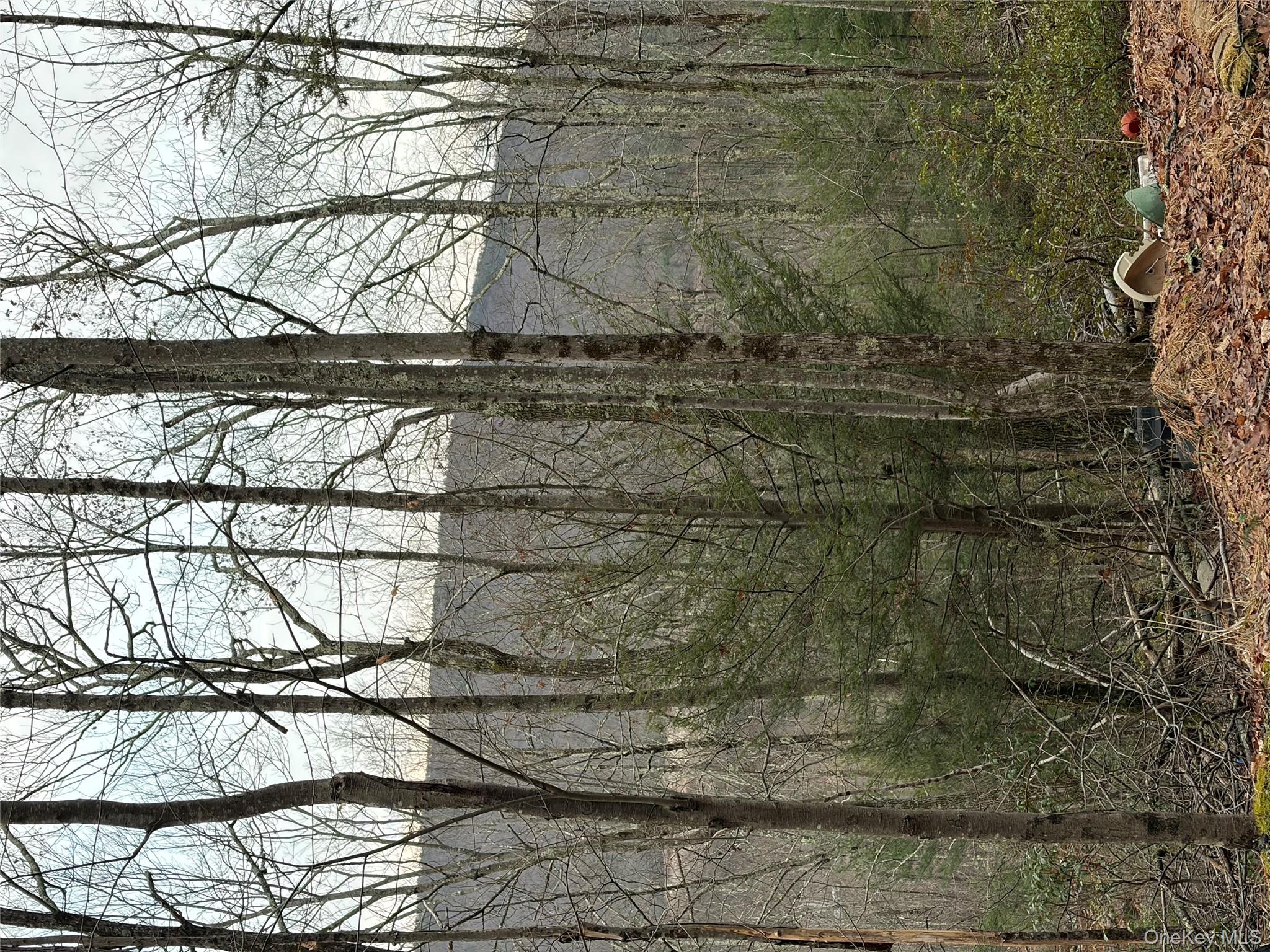 #12 photo, Allen Road, 紐約州 Wurtsboro , NY 12790