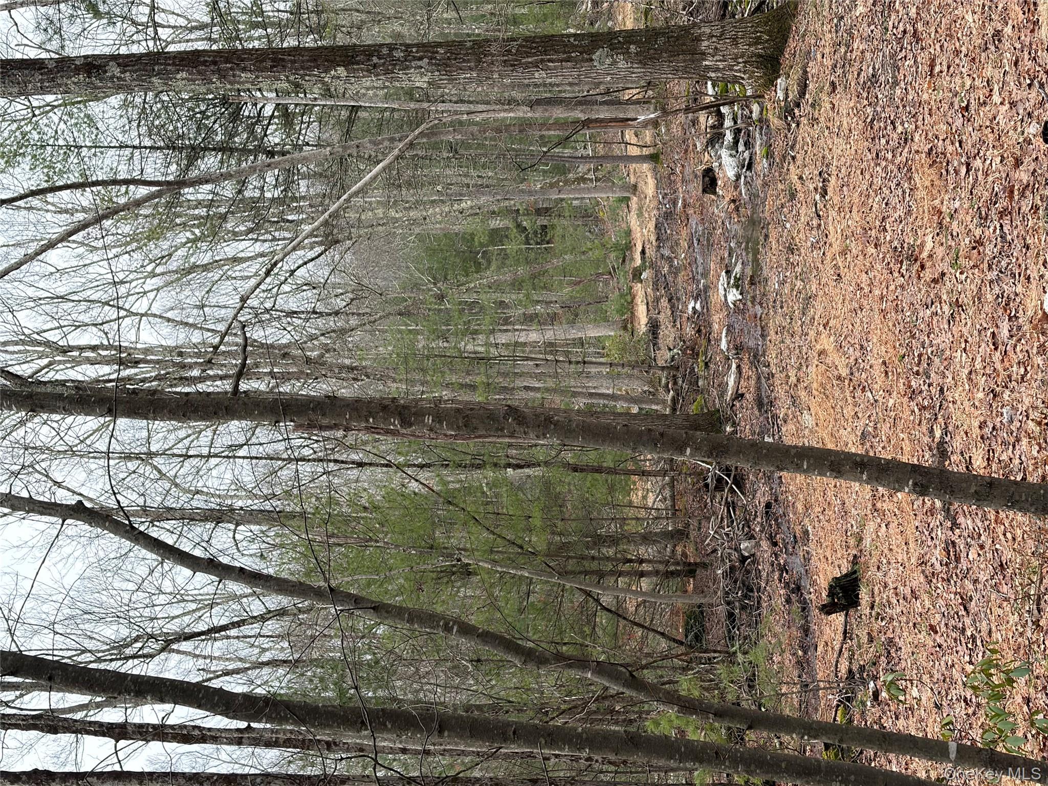 #13 photo, Allen Road, 紐約州 Wurtsboro , NY 12790