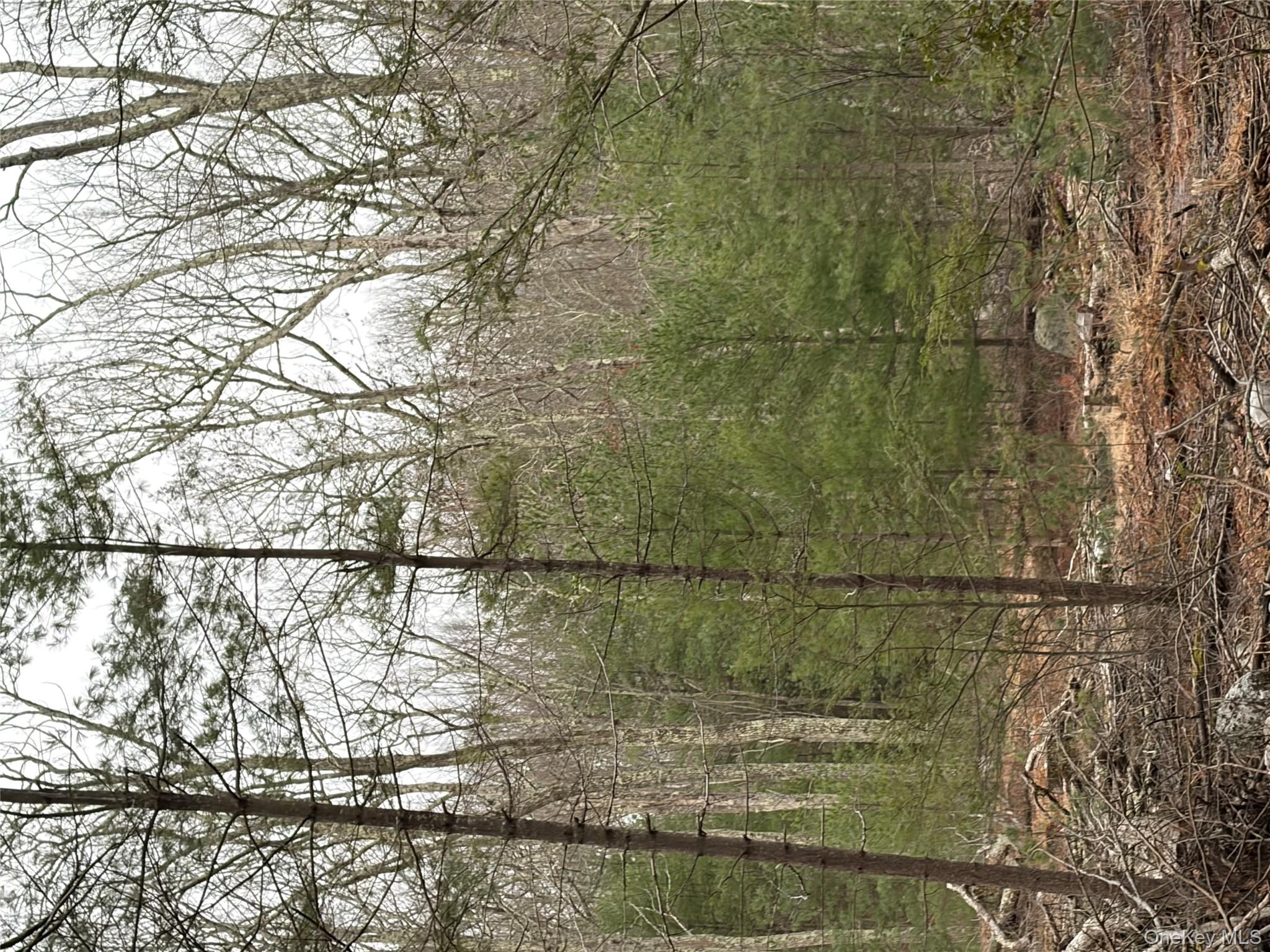 #14 photo, Allen Road, 紐約州 Wurtsboro , NY 12790