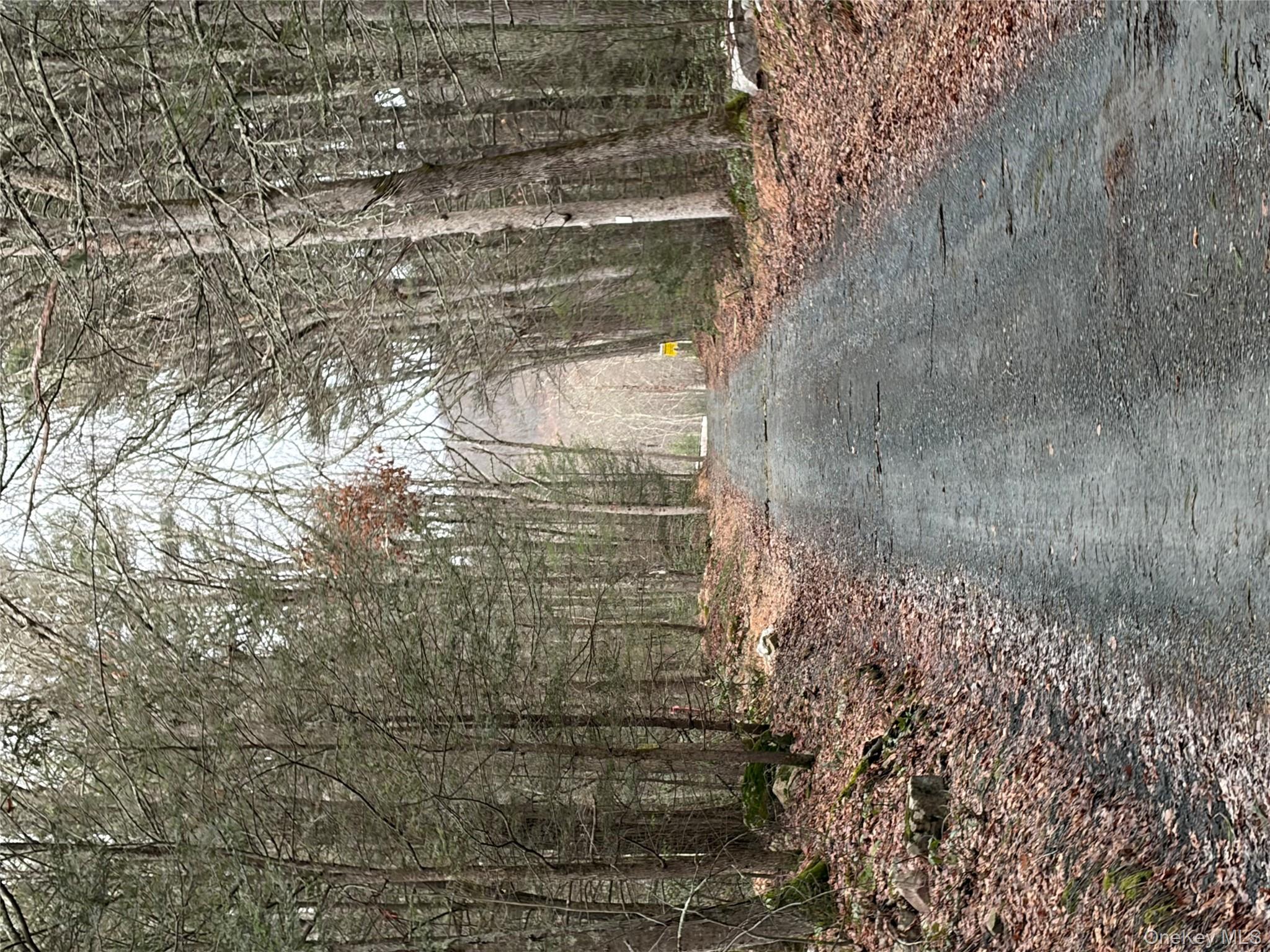 #15 photo, Allen Road, 紐約州 Wurtsboro , NY 12790