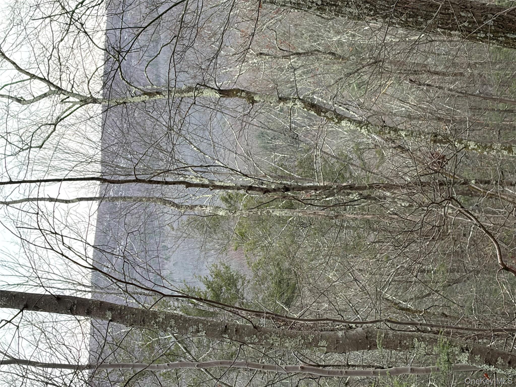 #16 photo, Allen Road, 紐約州 Wurtsboro , NY 12790