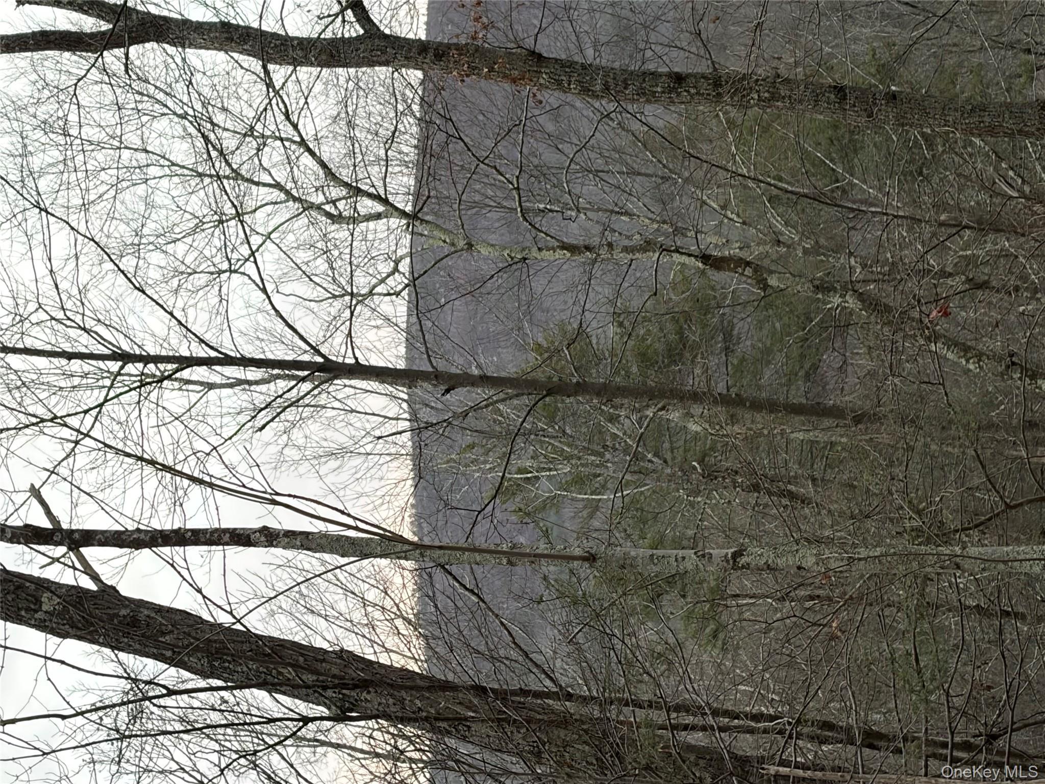 #17 photo, Allen Road, 紐約州 Wurtsboro , NY 12790