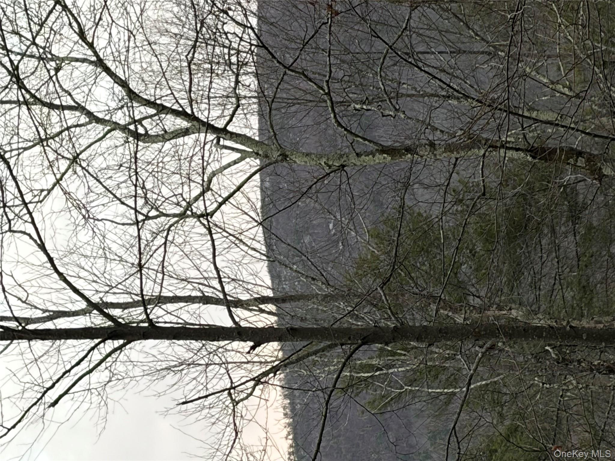 #18 photo, Allen Road, 紐約州 Wurtsboro , NY 12790