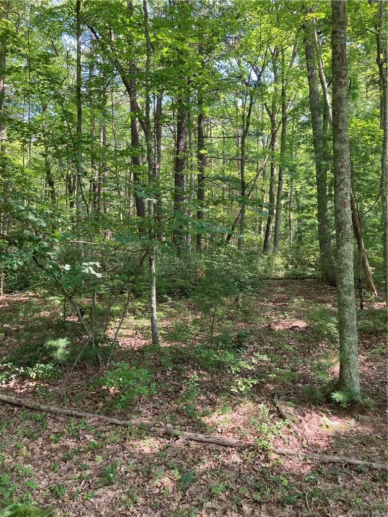 #4 photo, Allen Road, 뉴욕주 Wurtsboro , NY 12790