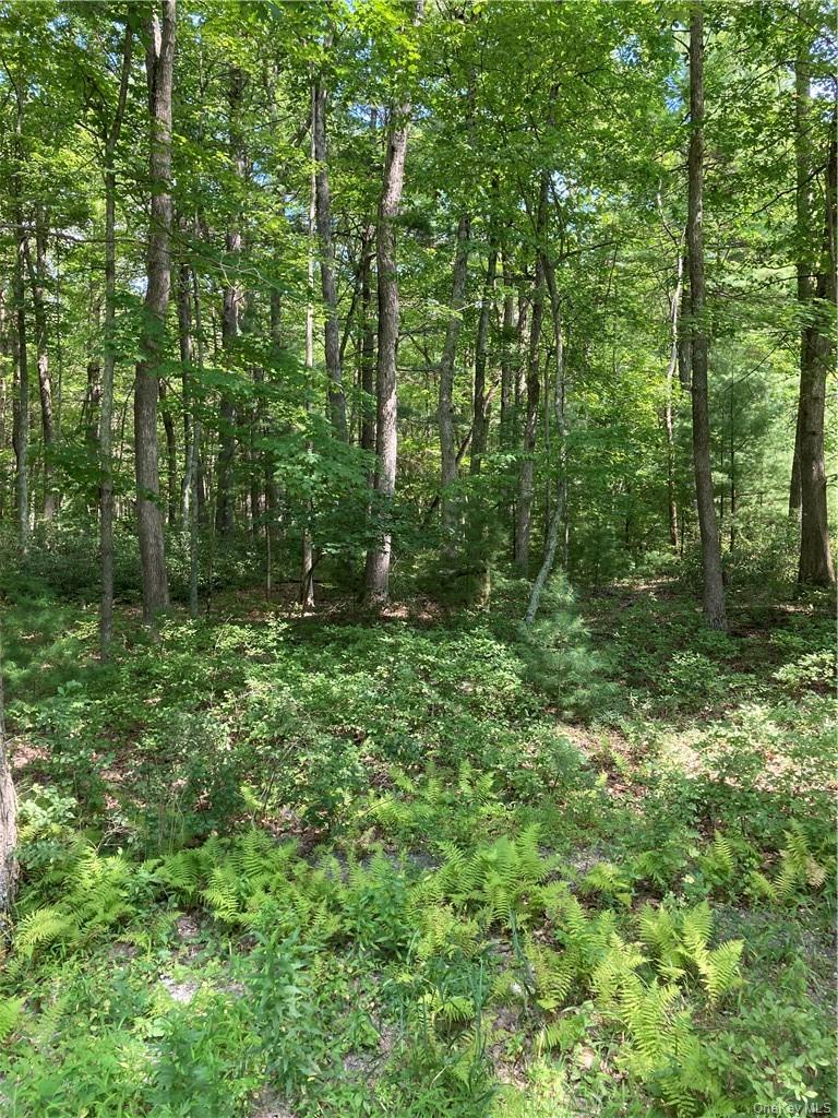 #6 photo, Allen Road, 뉴욕주 Wurtsboro , NY 12790