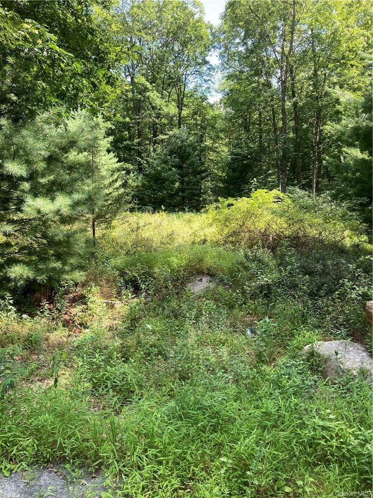 #7 photo, Allen Road, 뉴욕주 Wurtsboro , NY 12790