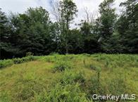 #10 photo, 790 Oak, East Branch , NY 13783