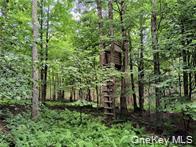 #12 photo, 790 Oak, East Branch , NY 13783