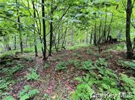 #14 photo, 790 Oak, East Branch , NY 13783