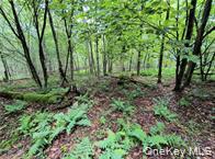 #15 photo, 790 Oak, East Branch , NY 13783