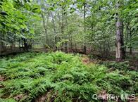 #16 photo, 790 Oak, East Branch , NY 13783