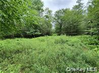 #17 photo, 790 Oak, East Branch , NY 13783