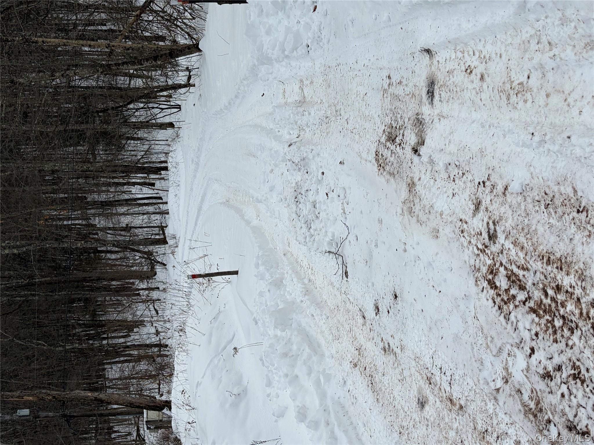 #3 photo, 790 Oak, East Branch , NY 13783