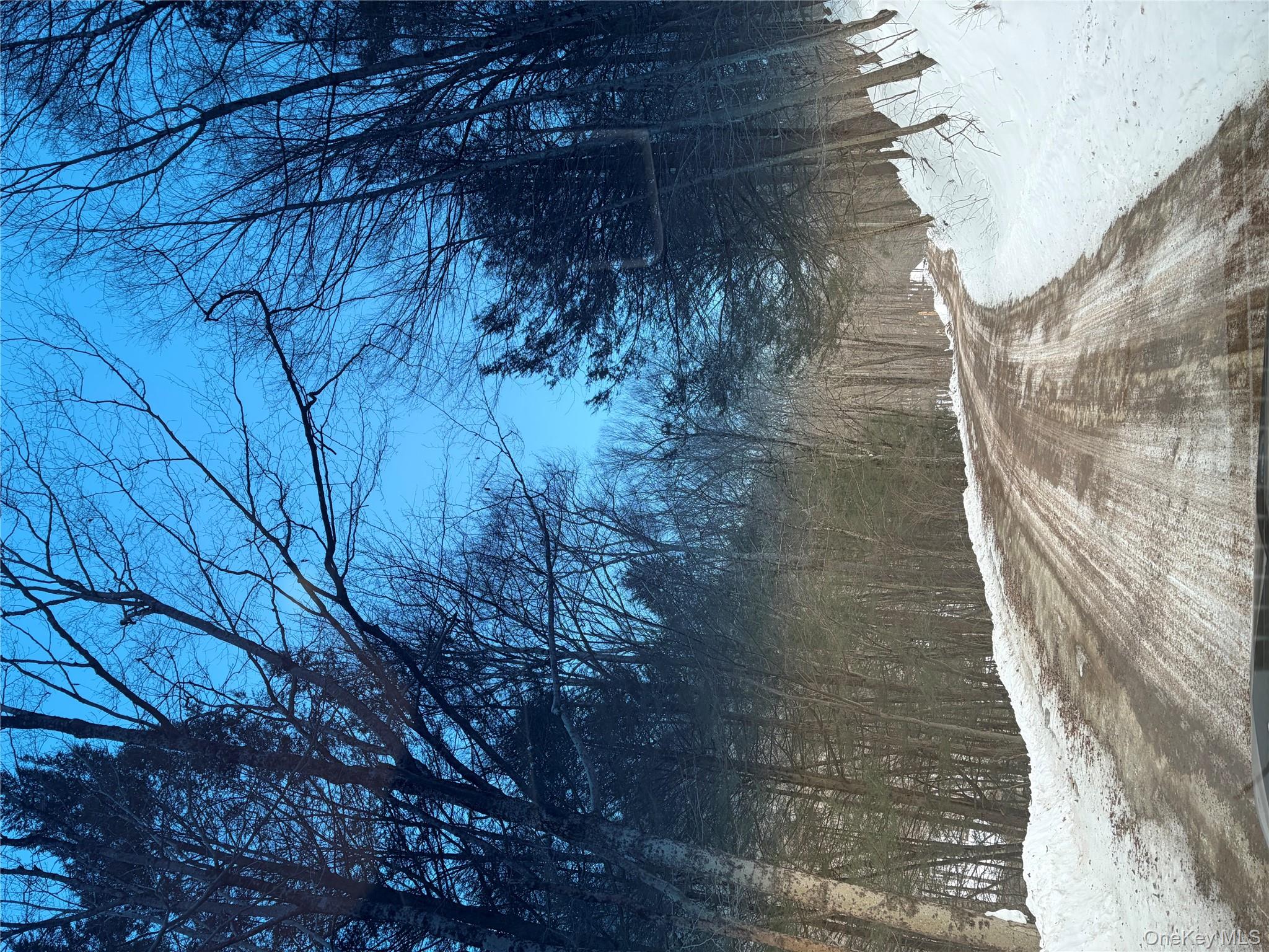 #4 photo, 790 Oak, East Branch , NY 13783