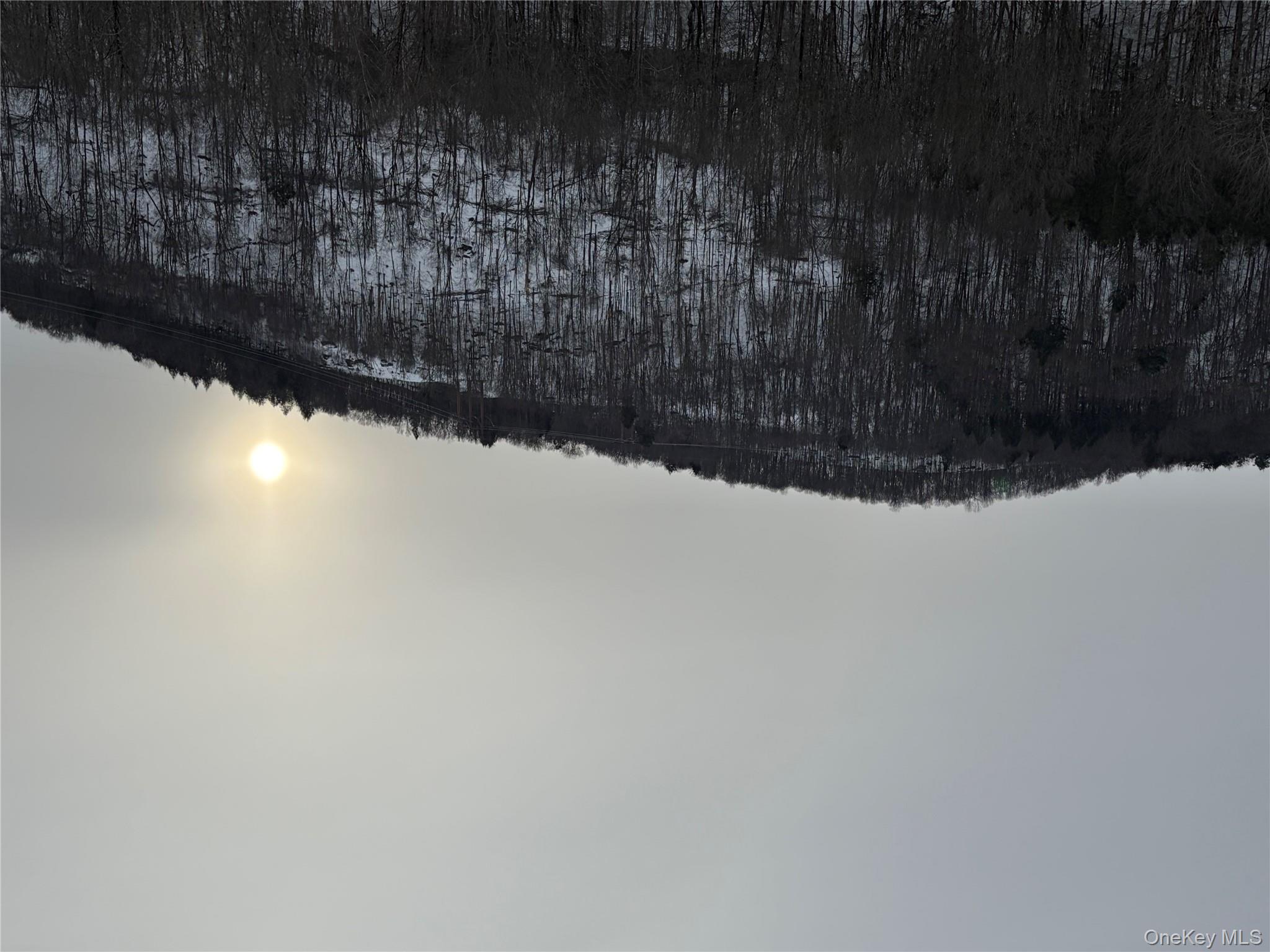 #5 photo, 790 Oak, East Branch , NY 13783