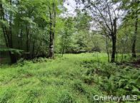 #7 photo, 790 Oak, East Branch , NY 13783