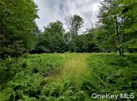 #9 photo, 790 Oak, East Branch , NY 13783