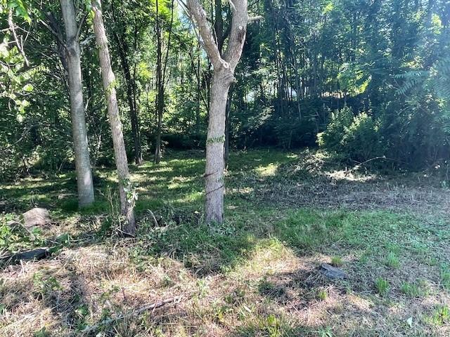 #2 photo, 49 E Market Street, 뉴욕주 Hyde Park , NY 12538