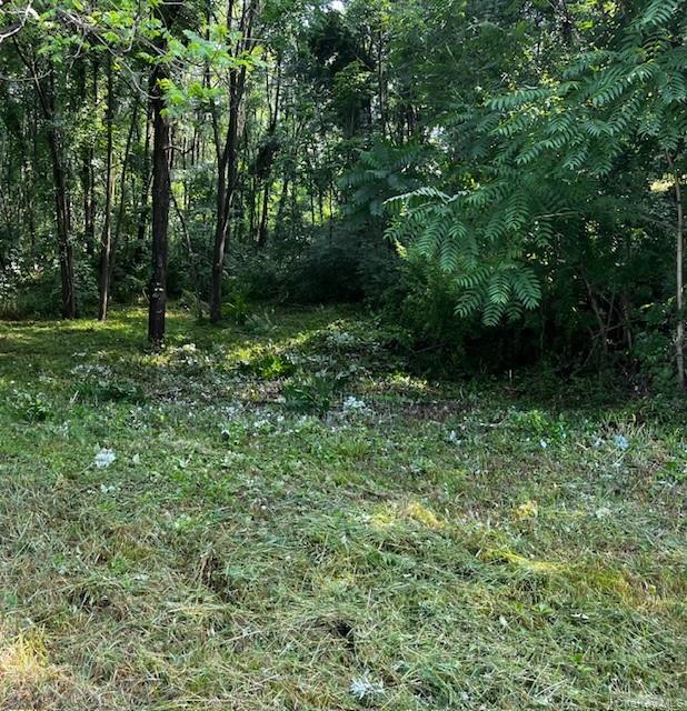 #4 photo, 49 E Market Street, 뉴욕주 Hyde Park , NY 12538