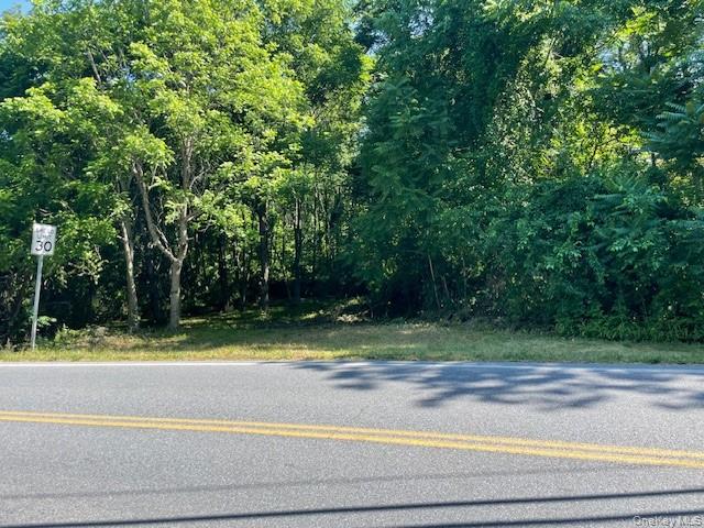 #6 photo, 49 E Market Street, 뉴욕주 Hyde Park , NY 12538