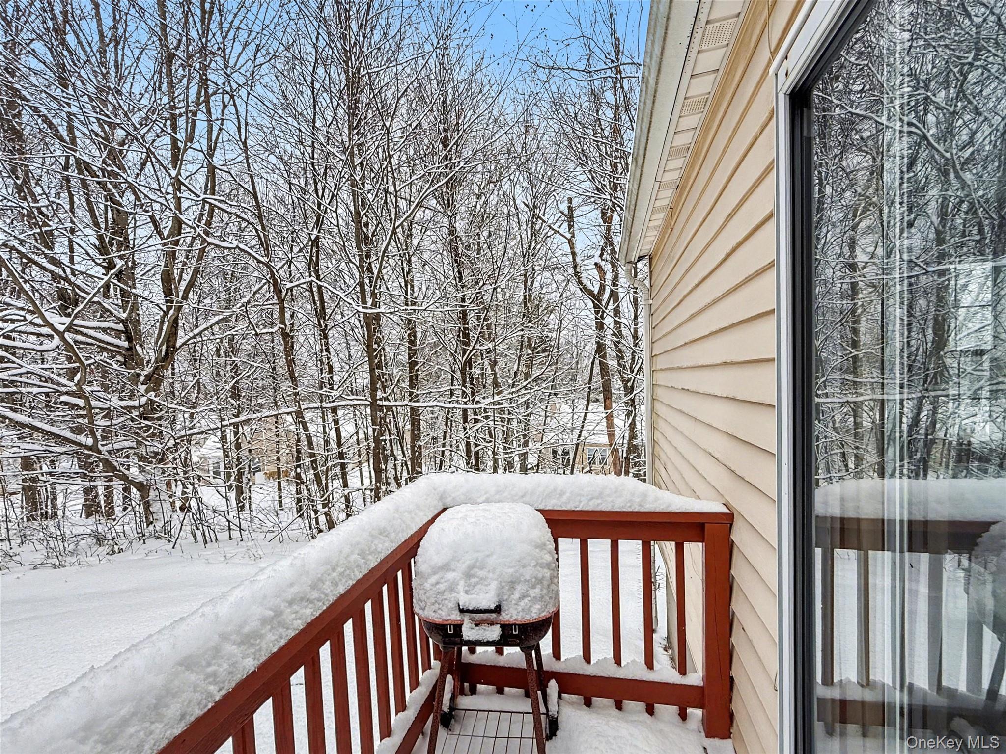 #20 photo, 51 Hidden Ridge Terrace, 뉴욕주 Monticello , NY 12701