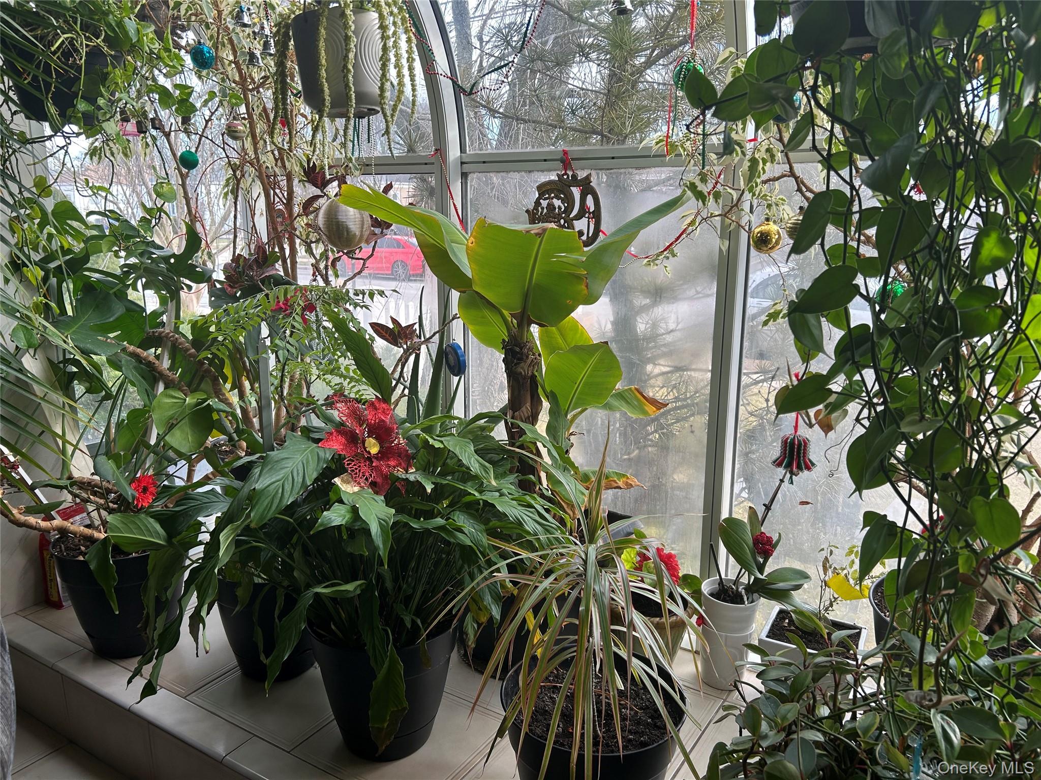 #8 photo, 527 Willow Street, South Hempstead , NY 11550